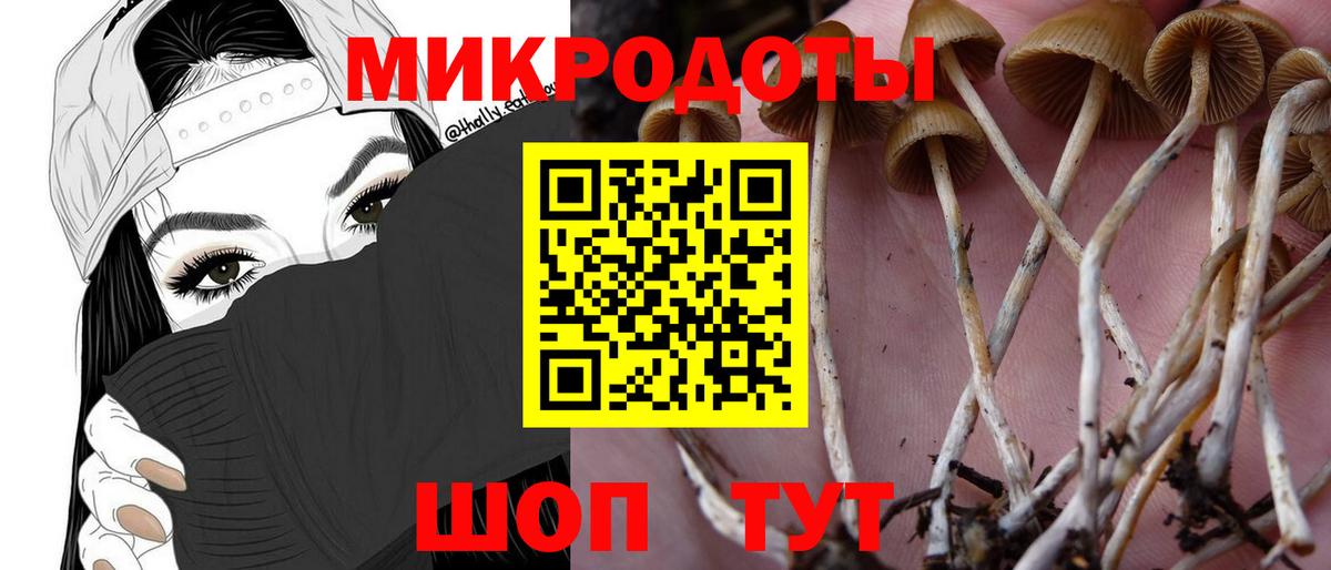 Галлюциногенные грибы мухоморы  где купить наркоту  Иркутск  Вход с VPN 