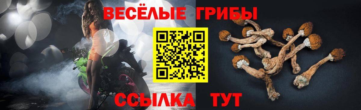 Галлюциногенные грибы Cubensis Иркутск